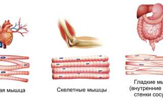 Признаки нехватки калия в организме и их последствия