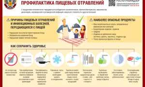 Правила, которые помогут избежать расстройства пищеварения и улучшить здоровье