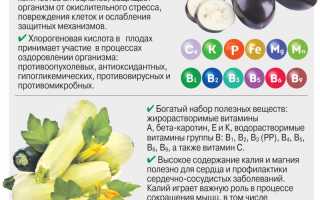 Почему баклажаны не только вкусные, но и полезные для здоровья