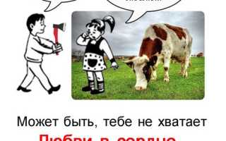 Восемь мифов о вегетарианстве, которые стоит развеять