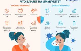 Что такое иммунитет и как он работает? Полное руководство