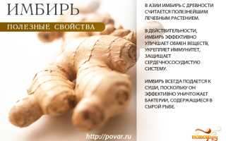 О пользе имбиря для здоровья человека