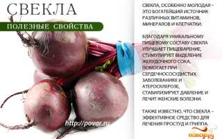Полезные свойства свеклы для здоровья