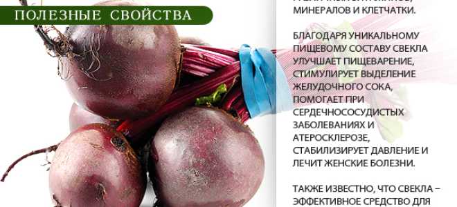 Полезные свойства свеклы для здоровья