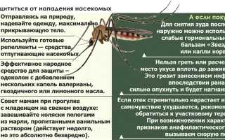 Как спастись от насекомых? Полезные советы и рекомендации