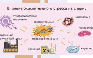 Что влияет на качество спермы? Важные аспекты и рекомендации