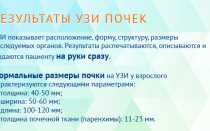 Узи почек расшифровка