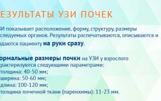Узи почек расшифровка