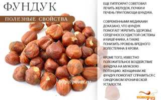 В чем польза фундука и есть ли вред для здоровья
