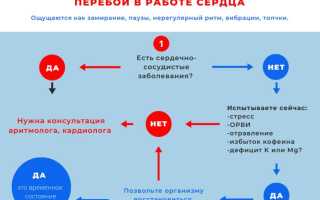 Перебои в работе сердца, какие обследования надо пройти для диагностики