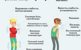 В чем разница между гриппом и ОРВИ: основные отличия