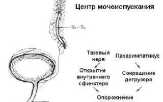 Что такое нейрогенный мочевой пузырь у детей