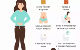 Что такое цистит и почему он возникает? Полное руководство
