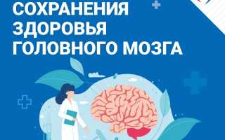 Как защитить мозг от возрастных разрушений и сохранить здоровье