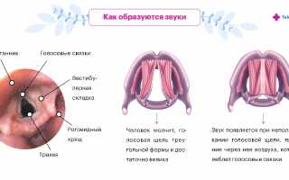 Почему пропадает голос? Причины и советы