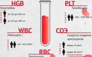 Анализы при пиелонефрите
