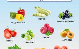 Список самых полезных ягод и фруктов, которые можно и нужно есть в России для здоровья